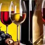 wine-pairing-event-2